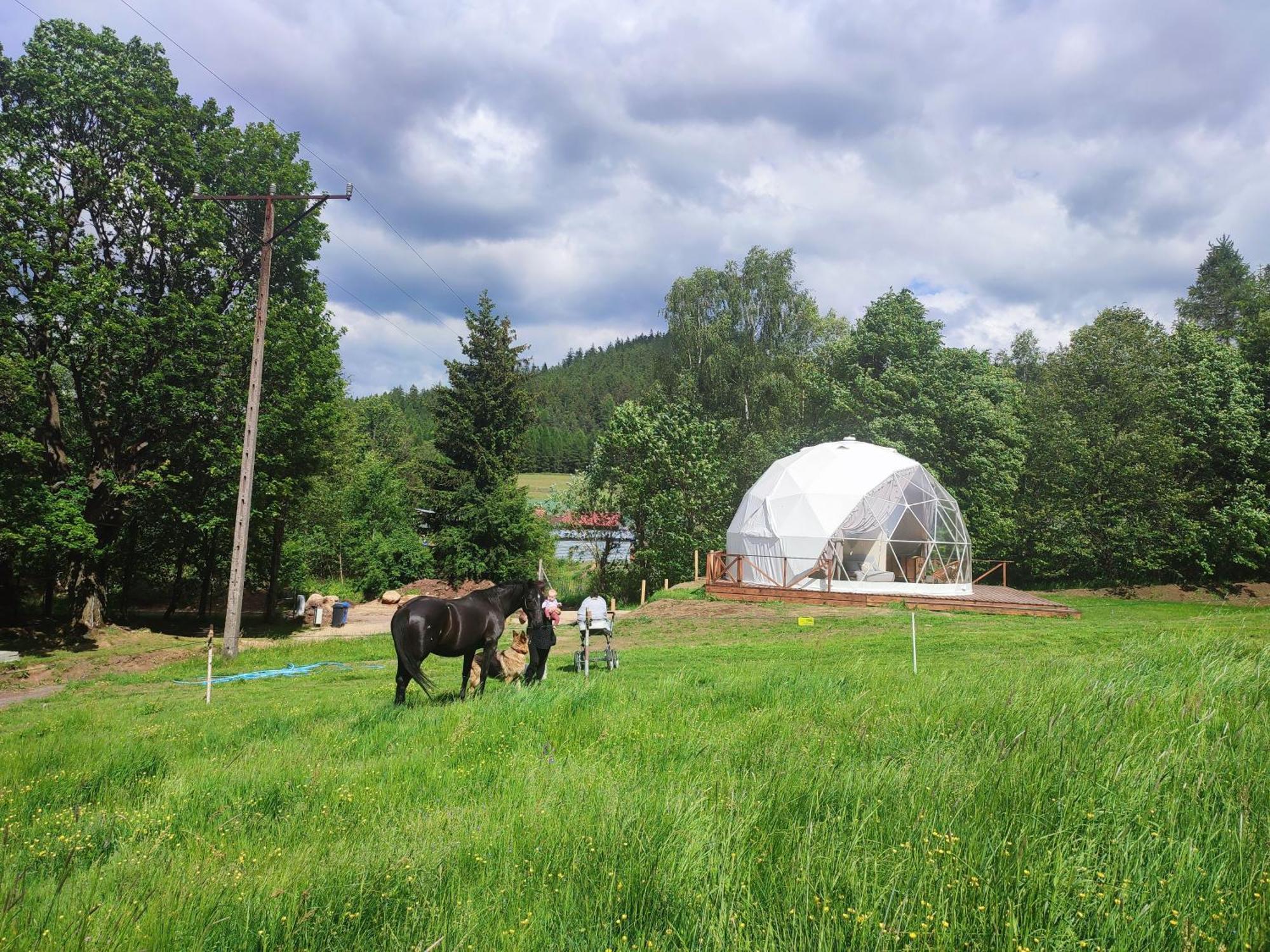 Hotel Forrest Glamp Mieroszow Esterno foto