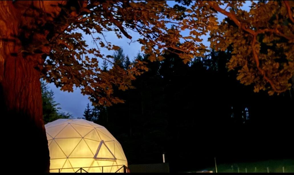 Hotel Forrest Glamp Mieroszow Esterno foto