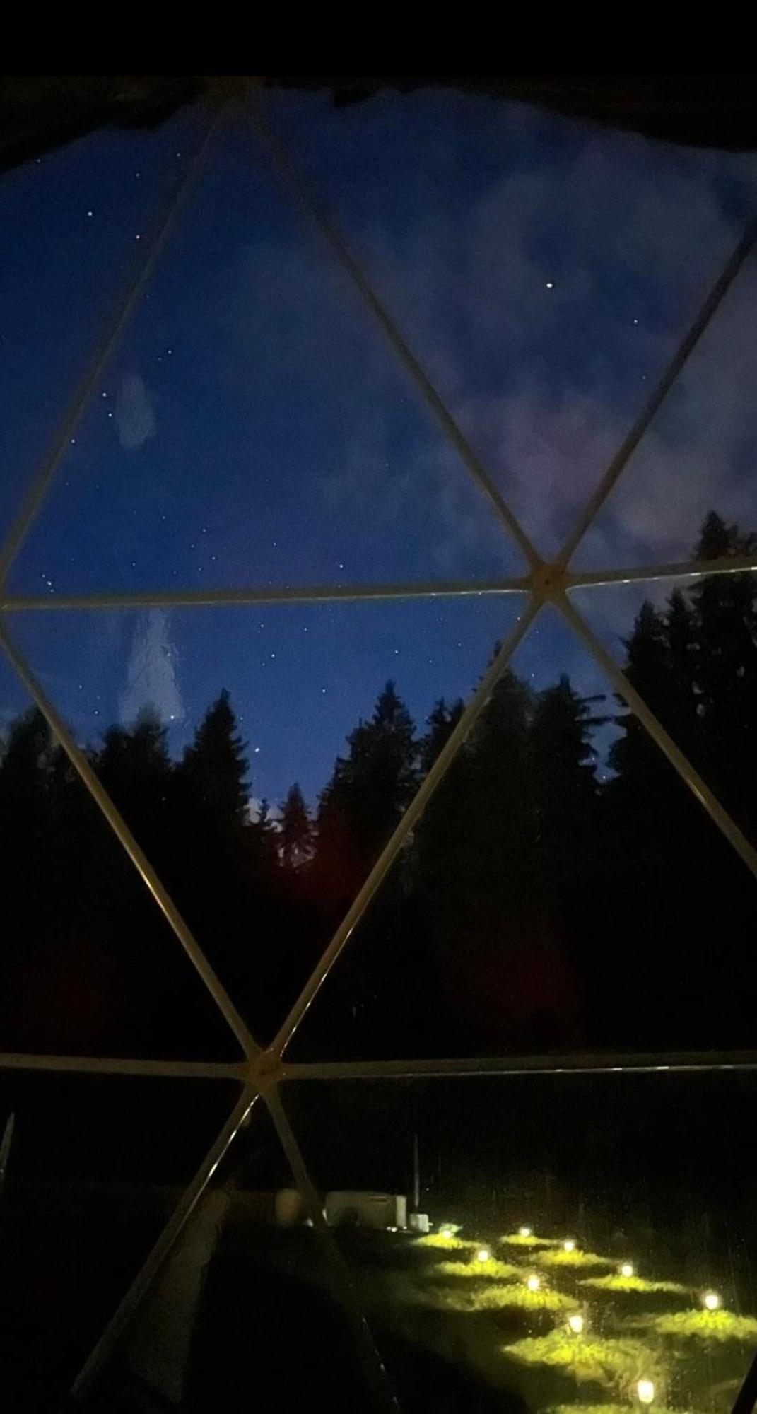 Hotel Forrest Glamp Mieroszow Esterno foto
