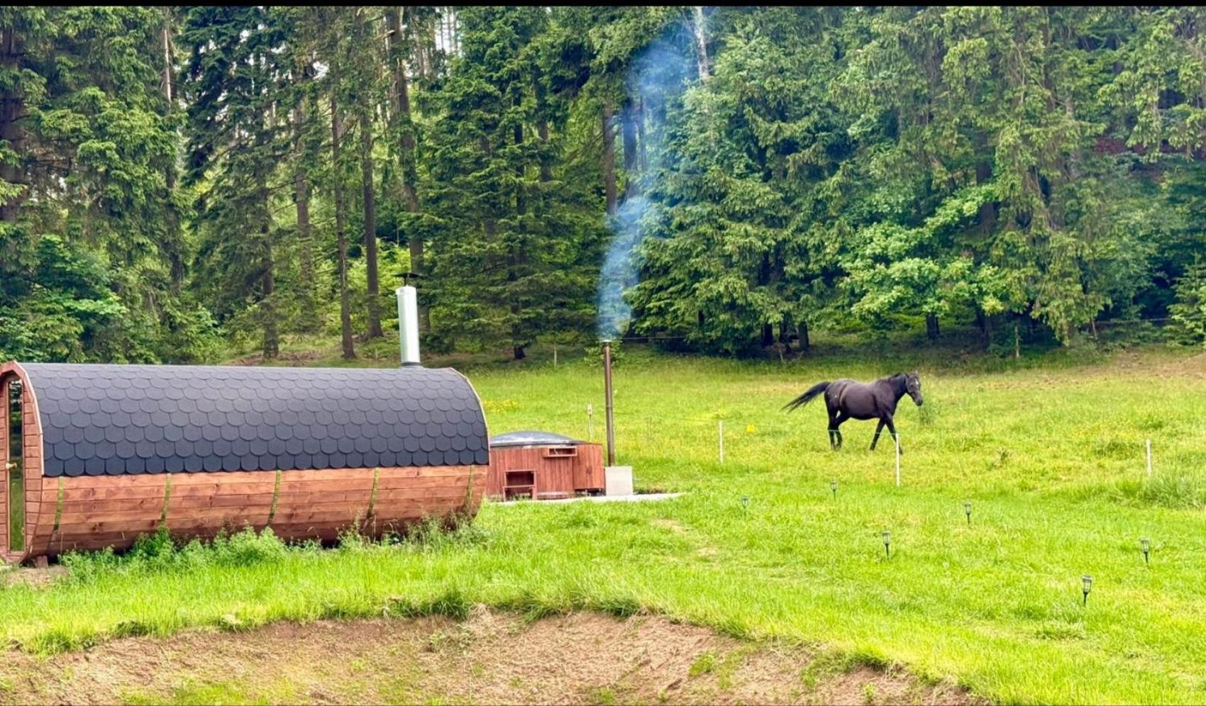 Hotel Forrest Glamp Mieroszow Esterno foto