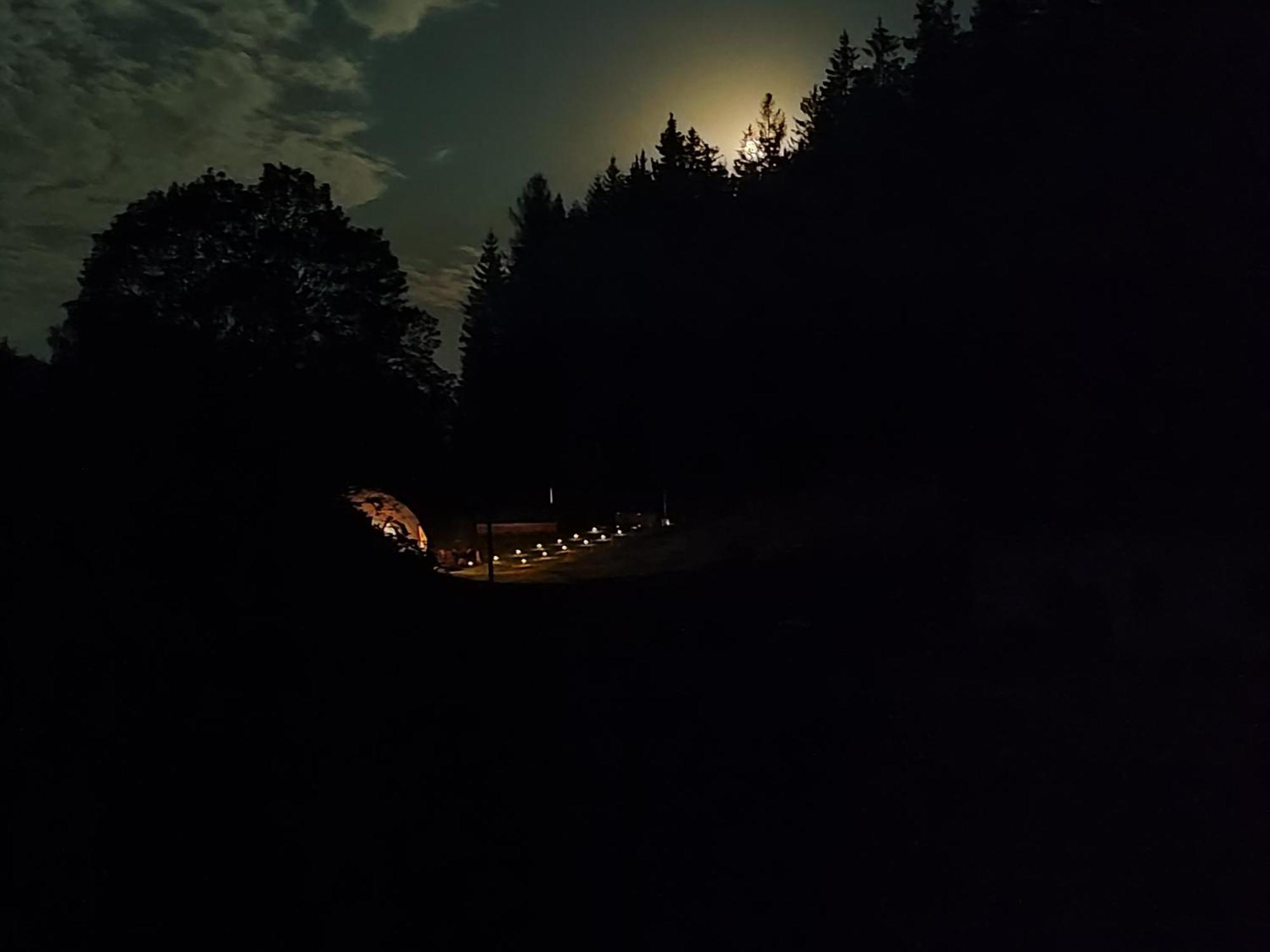 Hotel Forrest Glamp Mieroszow Esterno foto
