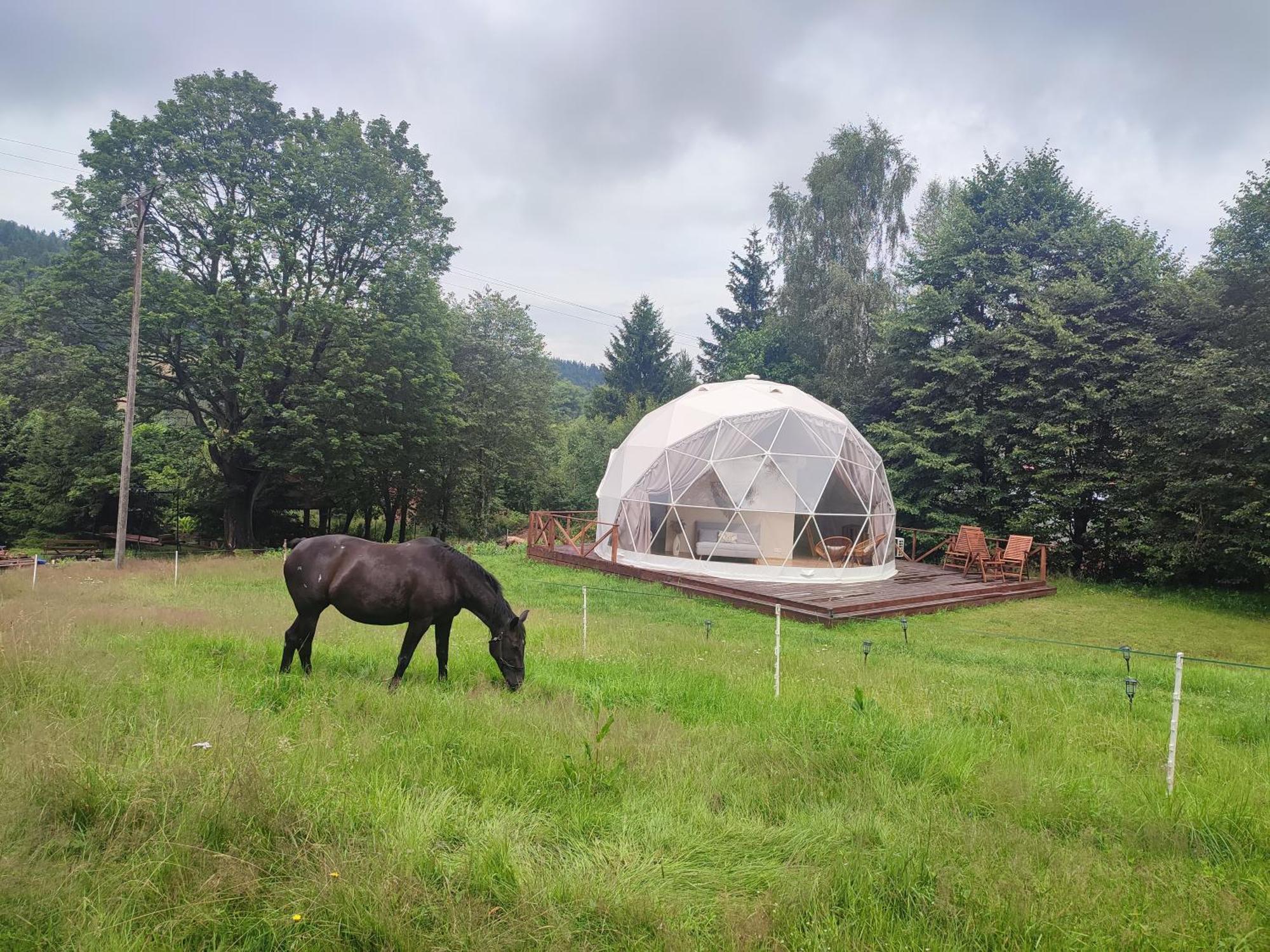 Hotel Forrest Glamp Mieroszow Esterno foto